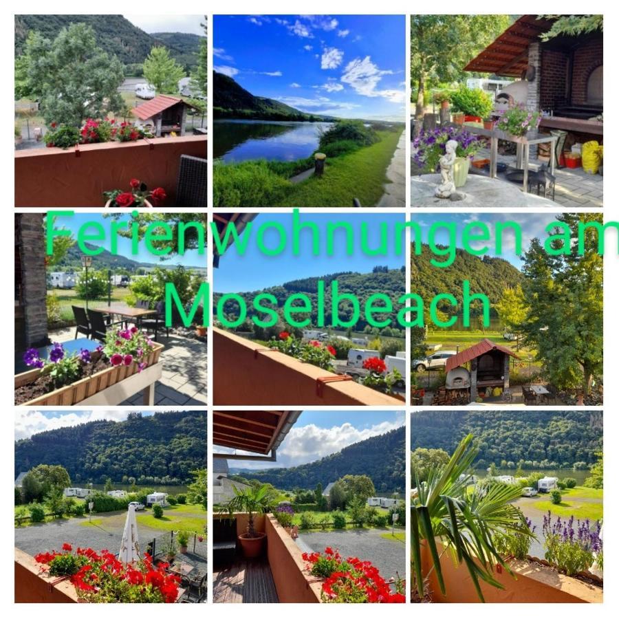 Ferienwohnungen Am Moselbeach 梅灵 外观 照片
